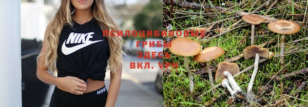 твердый Алзамай