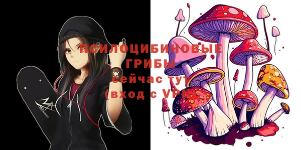 твердый Алзамай