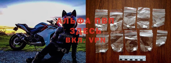 твердый Алзамай