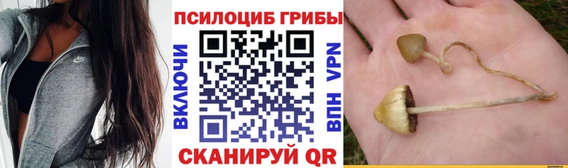 Псилоцибиновые грибы Magic Shrooms Сельцо